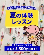 夏の体験レッスン受付中！